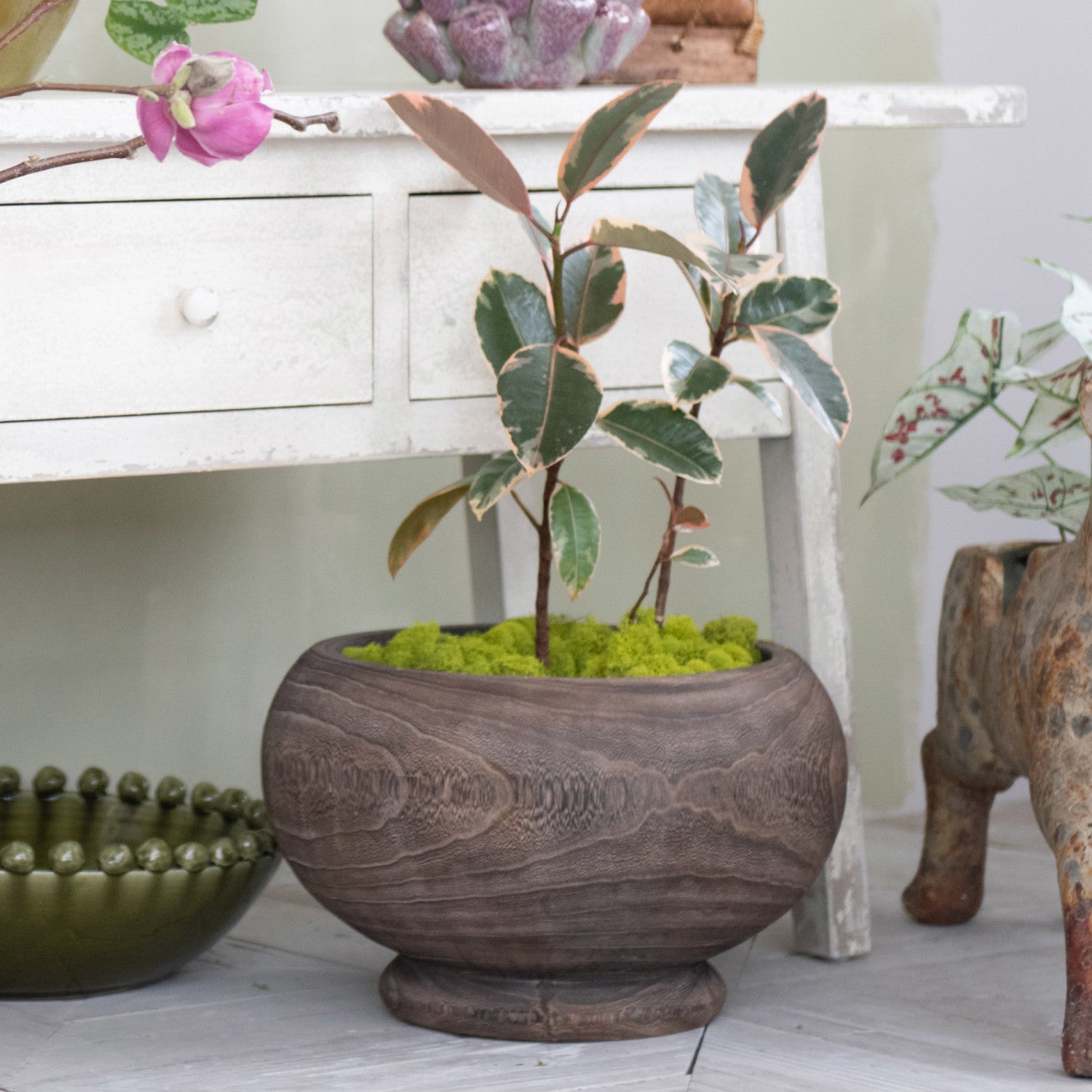 Paulownia Wood Planter