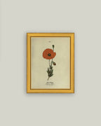 Red Poppy Framed Antique Art