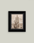 Desert Cactus Framed Antique Art