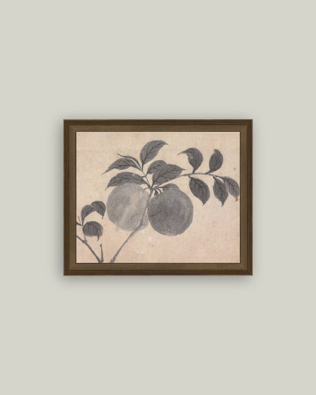 Branch of Fruit Bearing Tree Framed Antique Art