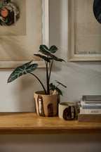 Brushstroke Plant Pot