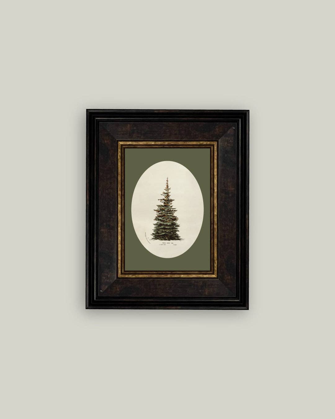 Oval Matte Tree Framed Antique Art