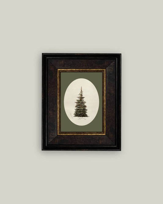 Oval Matte Tree Framed Antique Art