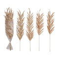Dried Natural Fountain Palm Bunch, Blush Color, Set of 4