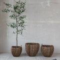 Woven Banana Leaf Basket with Handles