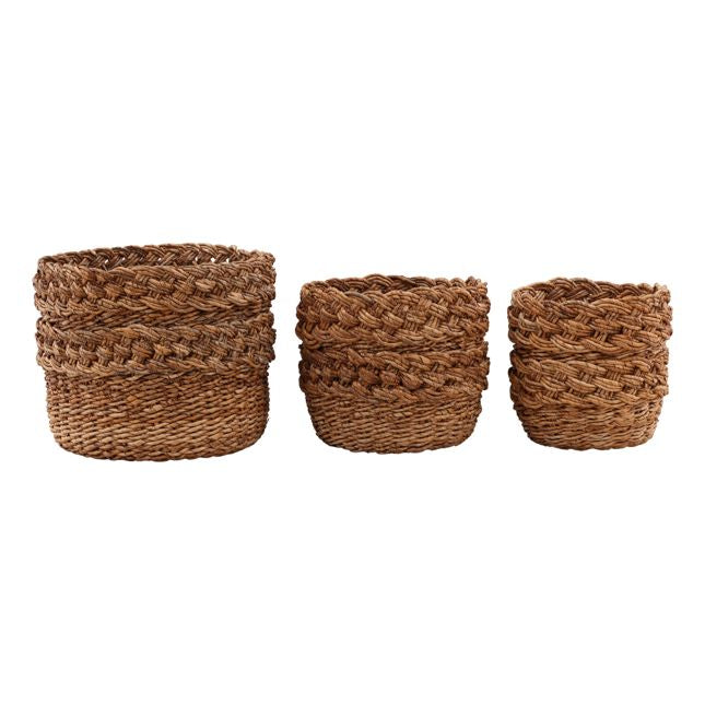 Alyona Basket