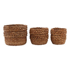 Alyona Basket