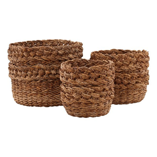 Alyona Basket