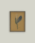 Lily On Brown Framed Antique Art
