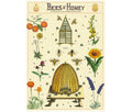 Cavallini & Co. Wrap - Bees & Honey