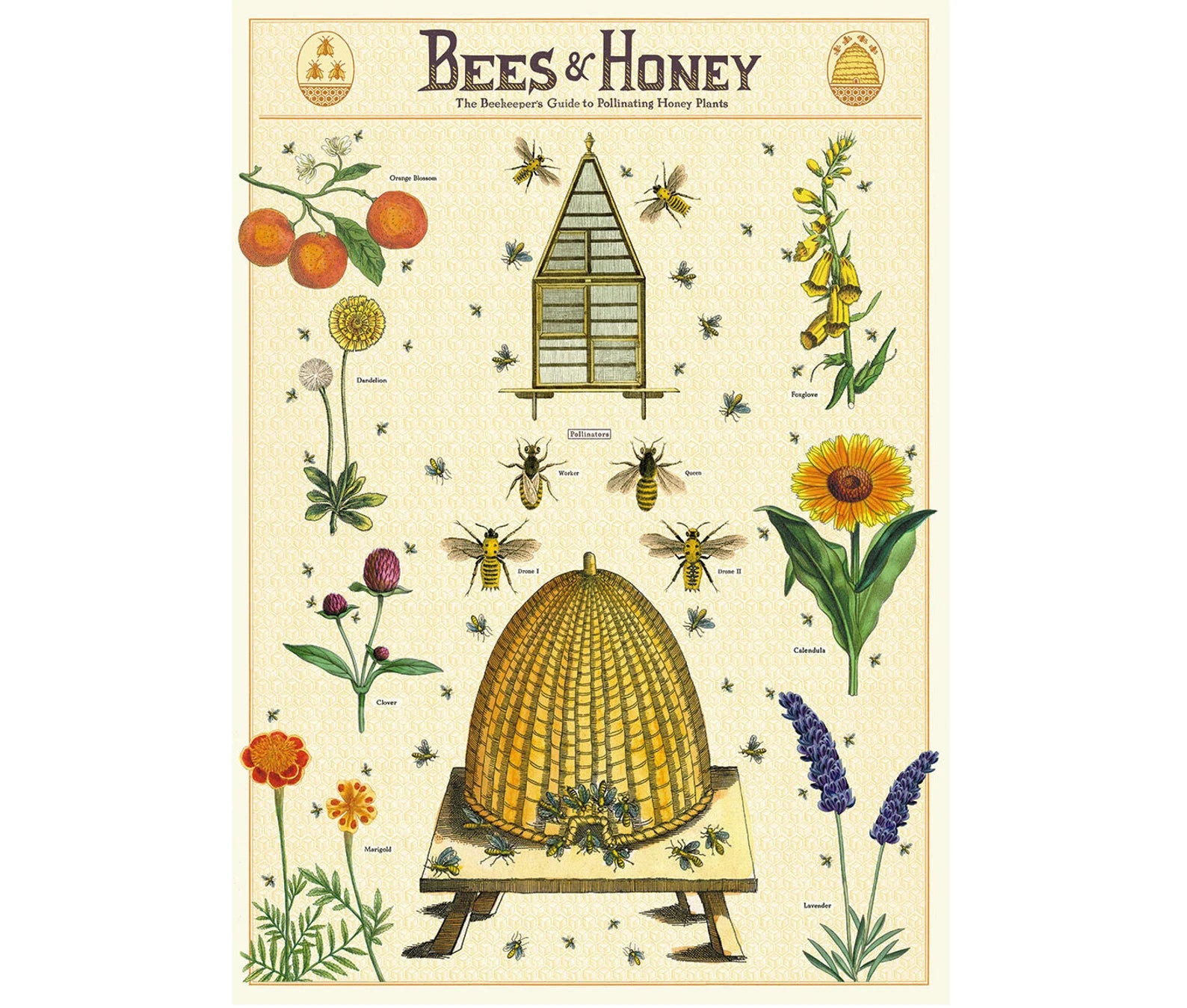 Cavallini & Co. Wrap - Bees & Honey