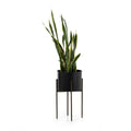 Jade Planter