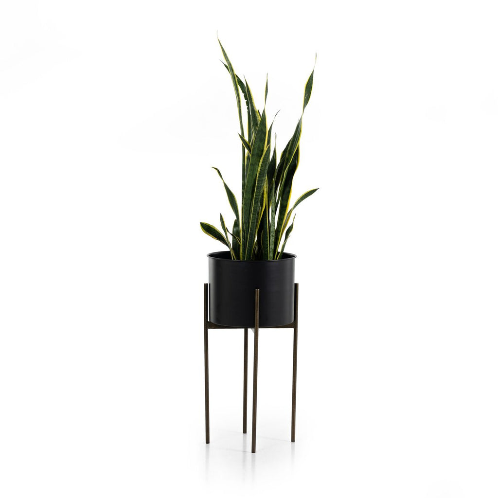 Jade Planter