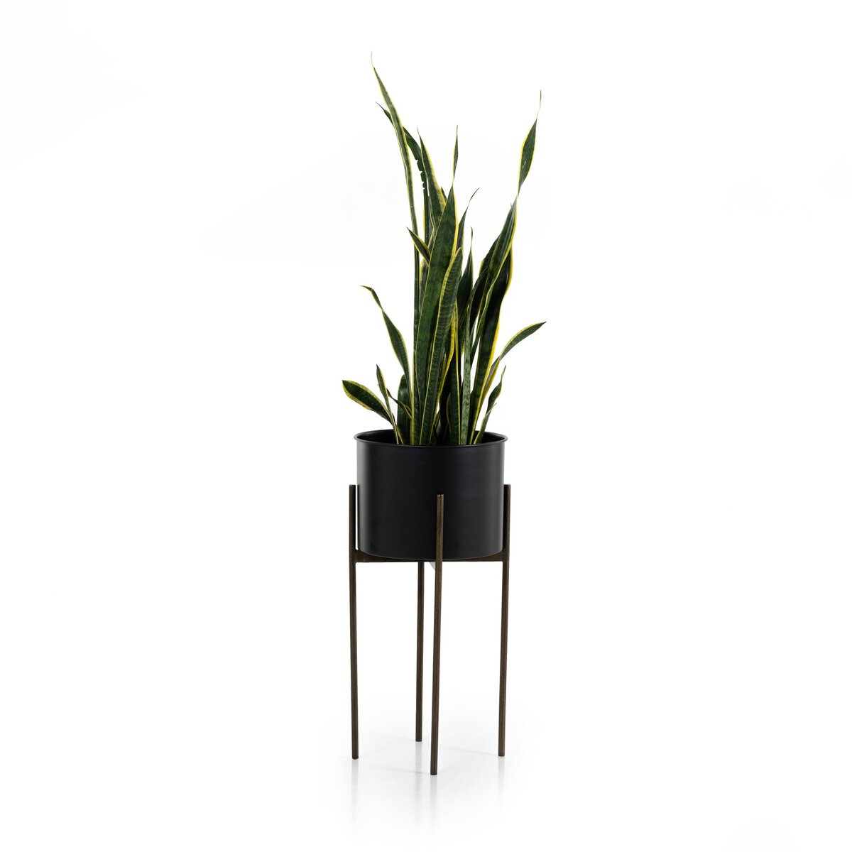 Jade Planter