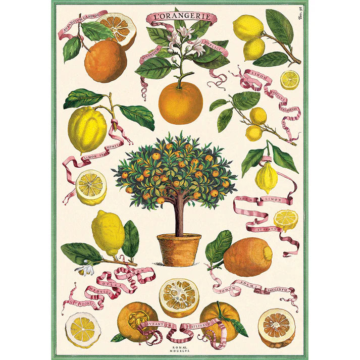 Cavallini & Co. Wrap - L'Orangerie