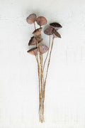 Lotus Pods On Twigs 10 Piece Bundle